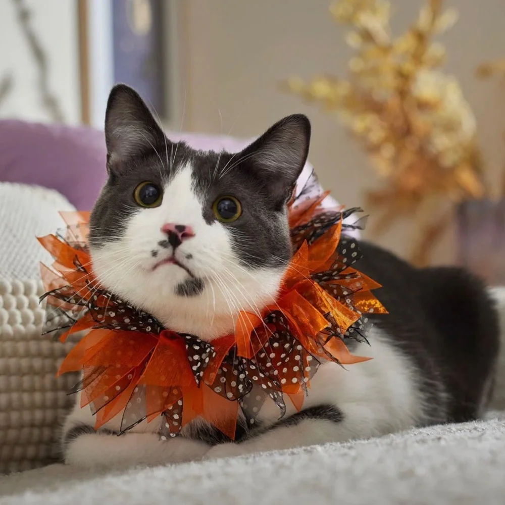 Halloween cat ruffle collar costume accessory